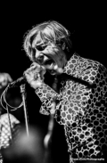 The Fleshtones