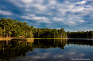 Sand Hill National Wildlife Preserve